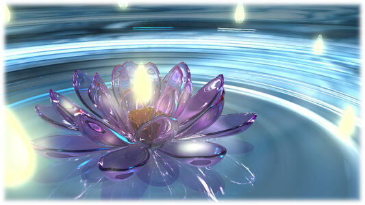 Lotus (Final)