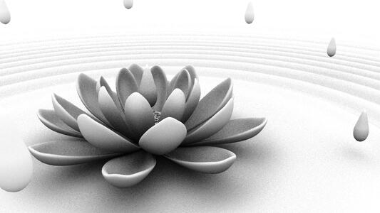 Lotus (Occlusion)
